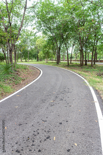 Asphalt road in the park with tree and green grass background.