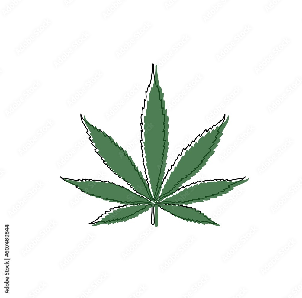 cannabis leaf isolated on white background, marijuana weed, plant illustration, illegal cannabis leaf isolated on white background, marijuana weed, plant illustration, illegal