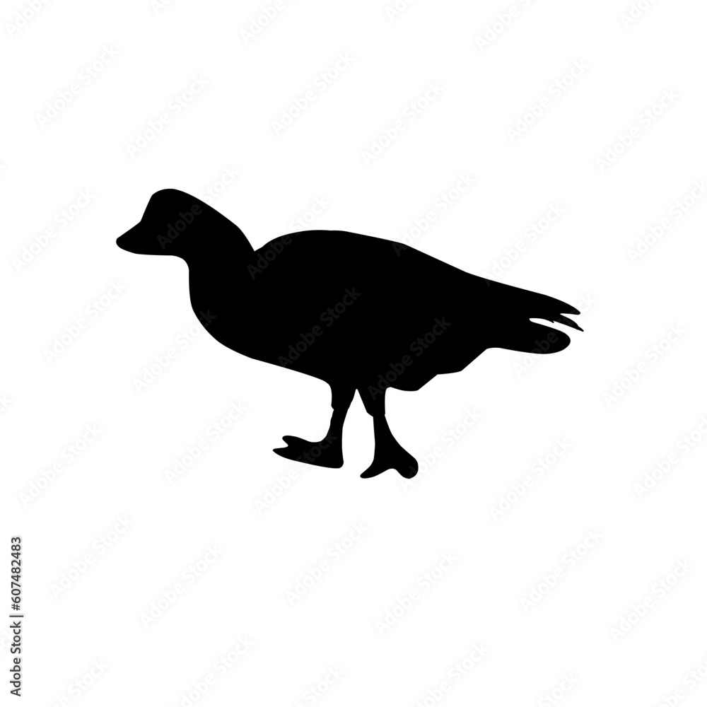 Duck Silhouette Duck Silhouette