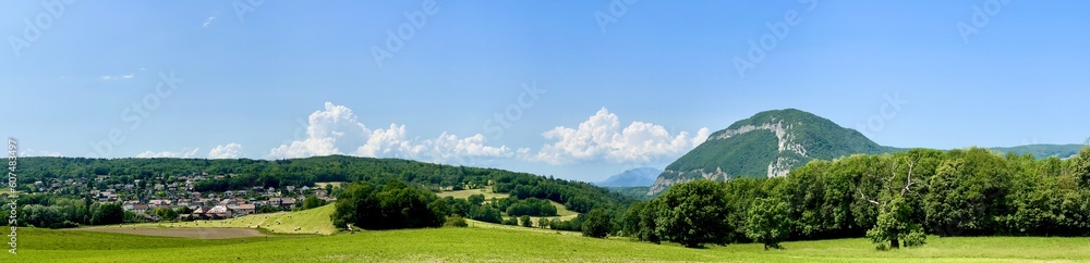 Fototapeta premium panorama of the city