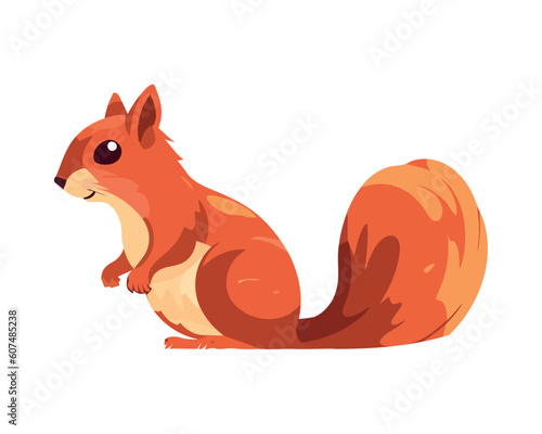 squirrel Small cute rodent sitting