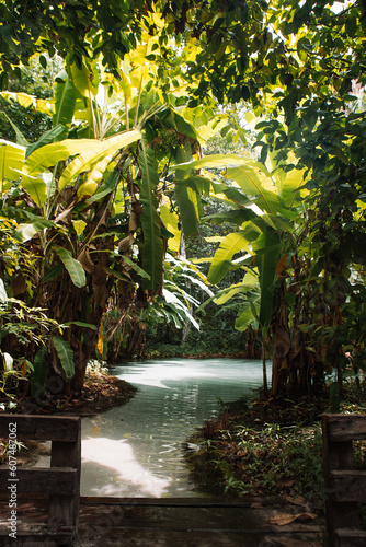 Fervedouros are hot spring waters of high density, making it easier to float in the water. A major Jalapao attraction