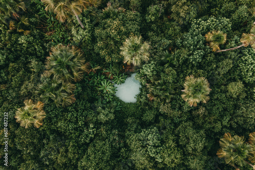 Fervedouros are hot spring waters of high density, making it easier to float in the water. A major Jalapao attraction