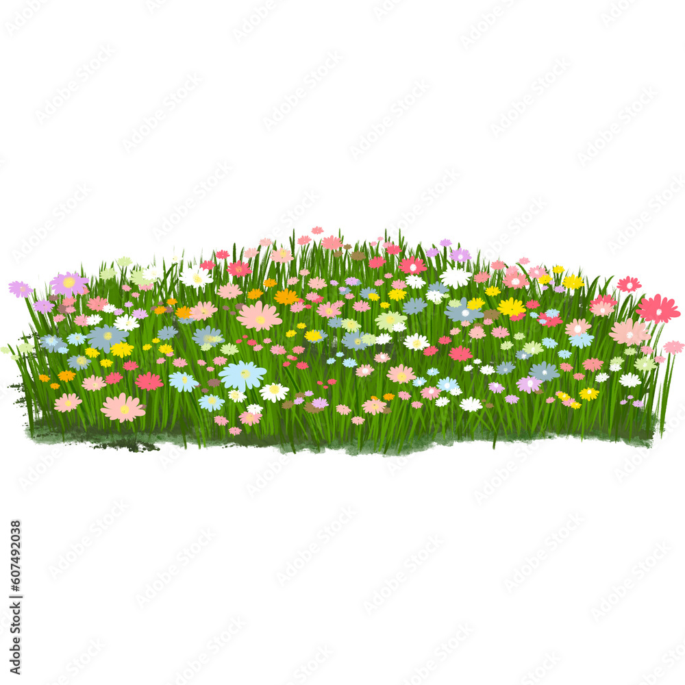 Obraz premium Grass and flowers 