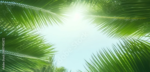 Palm Sunday concept  green palm tree leaves on natural sky  Generative AI