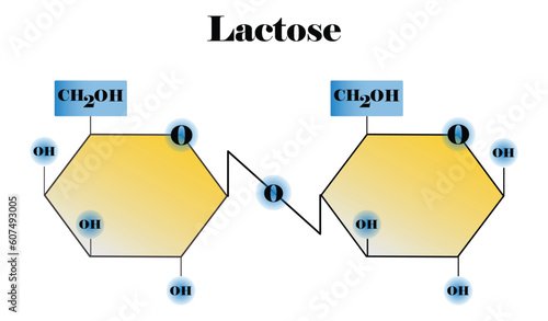 illustration of biology and chemistry, Lactose molecule, Chemical formula and model of lactose molecule, Lactase enzyme Effect on Lactose Sugar Molecule, Lactose Hydrolysis