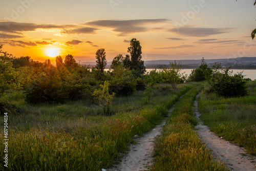 sunset in the field