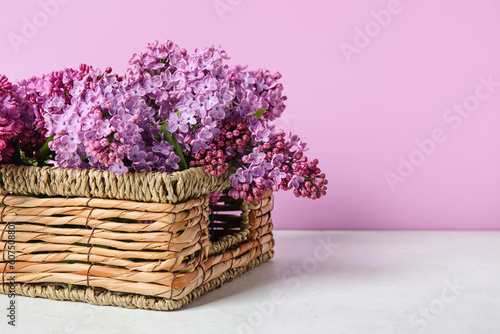 Basket with blooming lilac branches on table against pink background