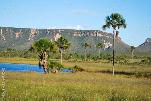 Lagoa do Jacaré - Jalapão - Tocantins - Brasil