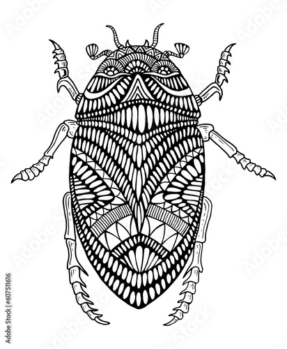 Cute bizarre beetle with many patterns coloring page for children and adults, isolated on white. Decorative black and white abstract insect antistress coloring book. Doodle style.