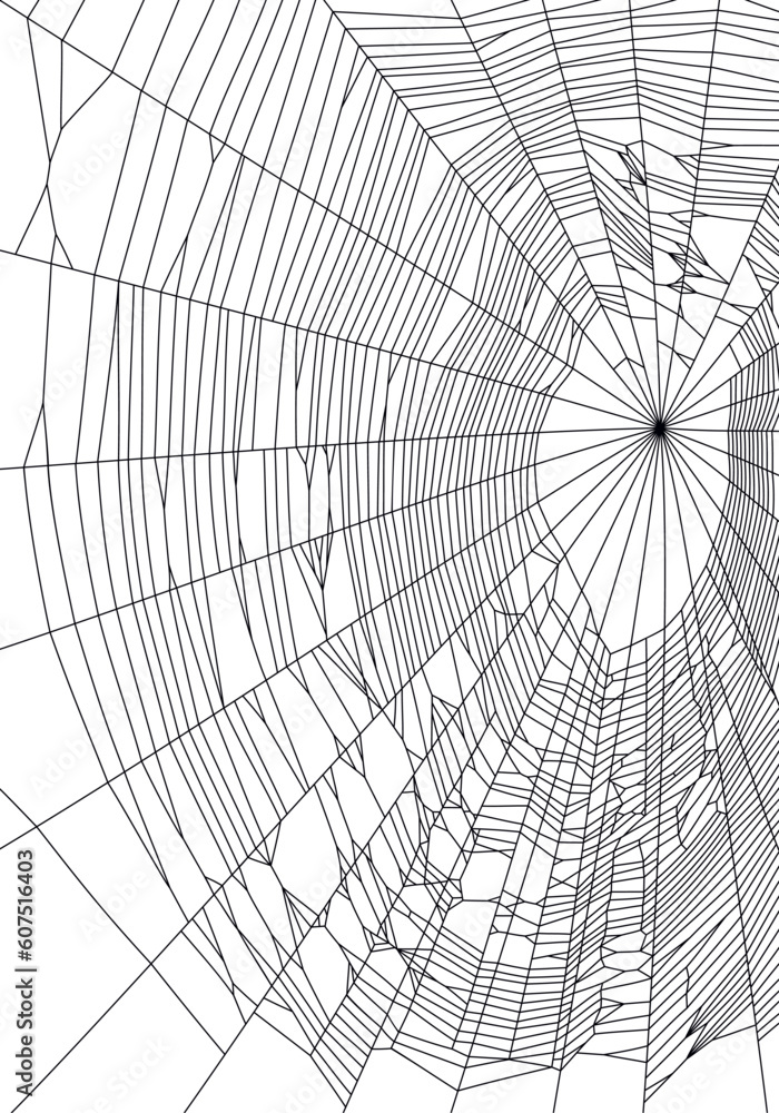 Vector illustration of outline spiderweb, cobweb silhouette in black color, on white background. 