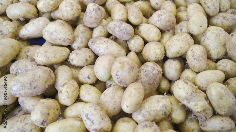 background a lot of potatoes on vegetable counters grocery vegetable market in turkey background a lot of potatoes on vegetable counters grocery vegetable market in turkey