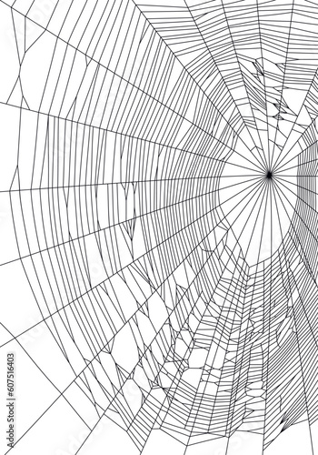 Vector illustration of outline spiderweb, cobweb silhouette in black color, on white background. 