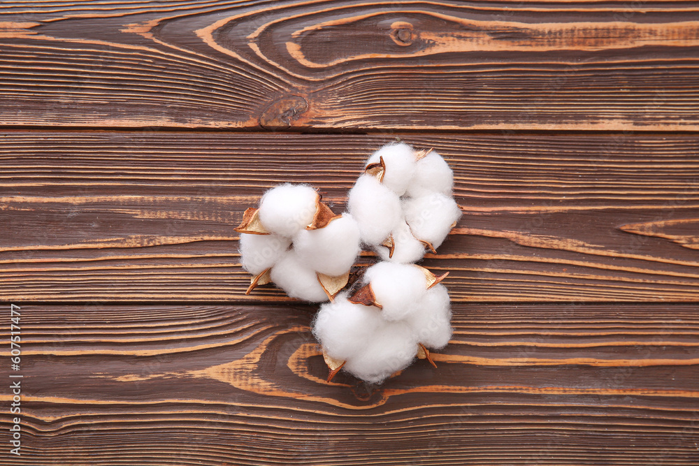 Cotton flowers on brown wooden background Cotton flowers on brown wooden background