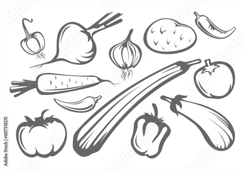 The stylized tomatoes, pepper, eggplant, onion, garlic, potatoes and zucchini isolated on a white background.