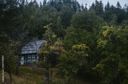 house in forest © Oleg