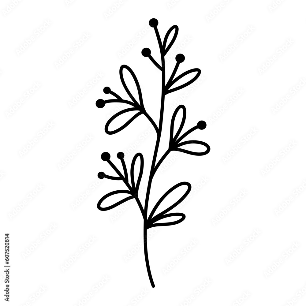 Cute branch with leaves and berries isolated on white background. Vector hand-drawn illustration in doodle style. Perfect for cards, logo, decorations, various designs. Botanical clipart.