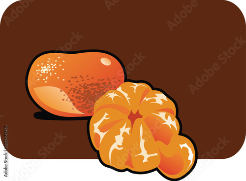 Color illustration of a tangerine. Part of my vector fruit Collection.