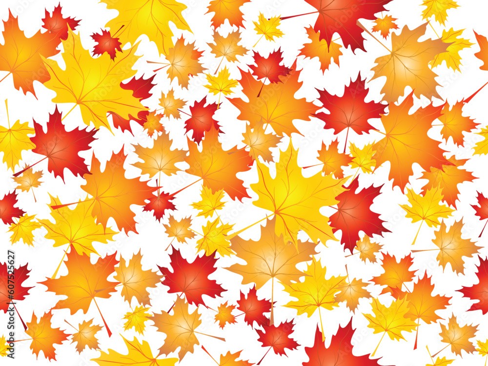 Fototapeta premium Background of falling Maple leaves