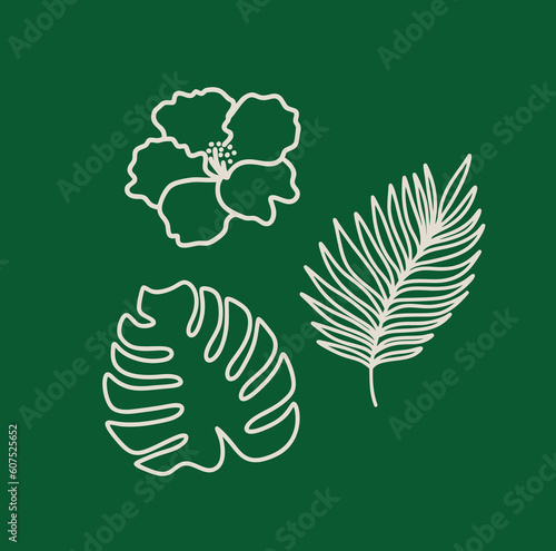 Tropical leaves and flower line art, Foliage continuous line drawing with abstract shape, Botanical art vector for print, cover, wallpaper, Minimal and natural wall art.
