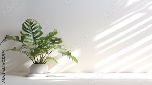 Minimalistic White Background with Shadow and Light