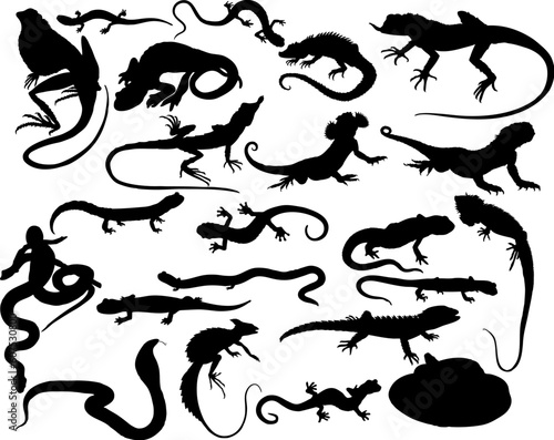 Canvastavla Set of black vector reptiles on the white