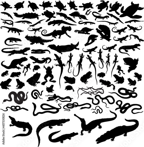 Big collection of vector reptiles isolated on white
