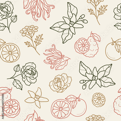 Line art essential oil plants and flowers seamless pattern