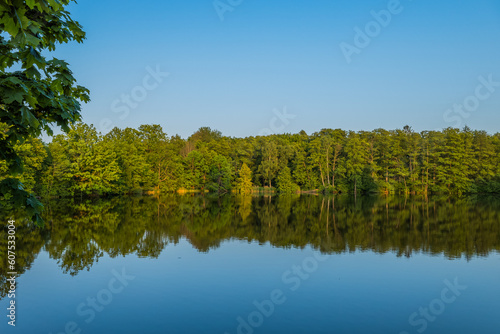 The lush green forest and blue sky are reflected in the lake on a sunny day. High quality photo