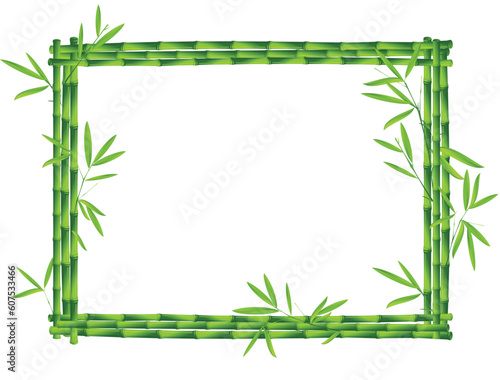 bamboo frame