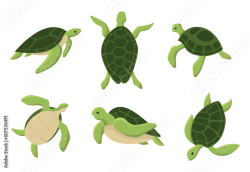 Set of big sea turtle cartoon cute animal design ocean tortoise swimming in water. Flat hand drawn sketch vector illustration isolated on white background