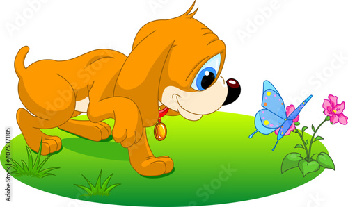 The nice puppy plays with the butterfly