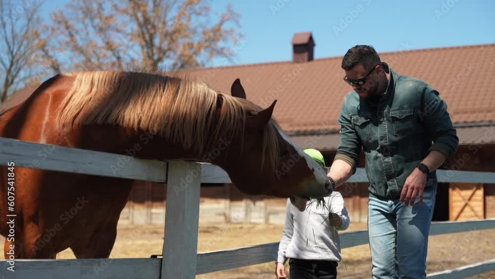 Dad and son came for an excursion to a horse farm Dad and son came for an excursion to a horse farm