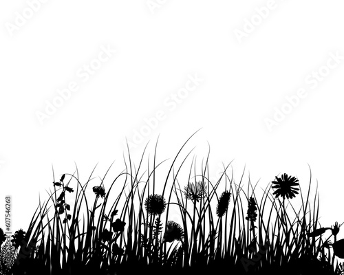 Grass silhouette ornate on the white background