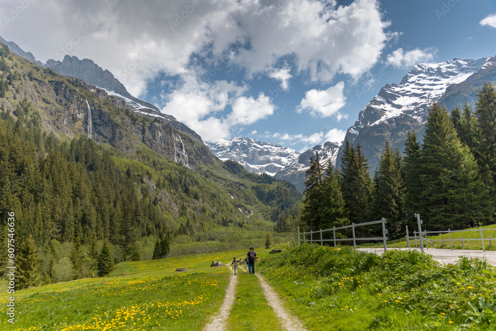 Sommer in den Alpen mit Wiesen und Wasserfällen