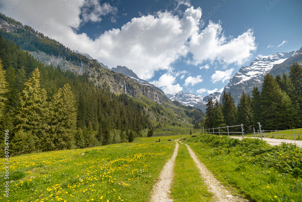 Fototapeta premium Sommer in den Alpen mit Wiesen, Wasserfällen und Gletschern
