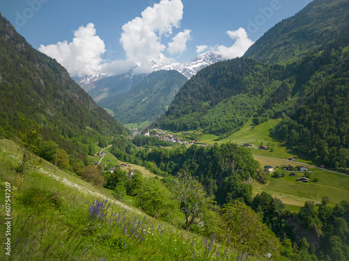 Sommer in den Alpen mit Wiesen  Wasserf  llen und Gletschern