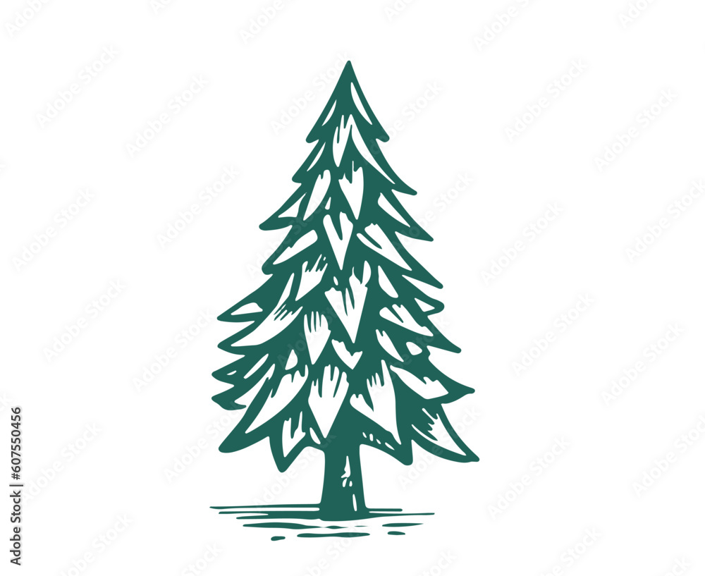 Christmas tree set, Hand drawn illustrations.
Christmas tree set, Hand drawn illustrations.