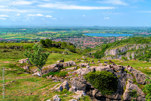 Gorge view with wild goats towards Cheddar Reservoir Somerset England UK