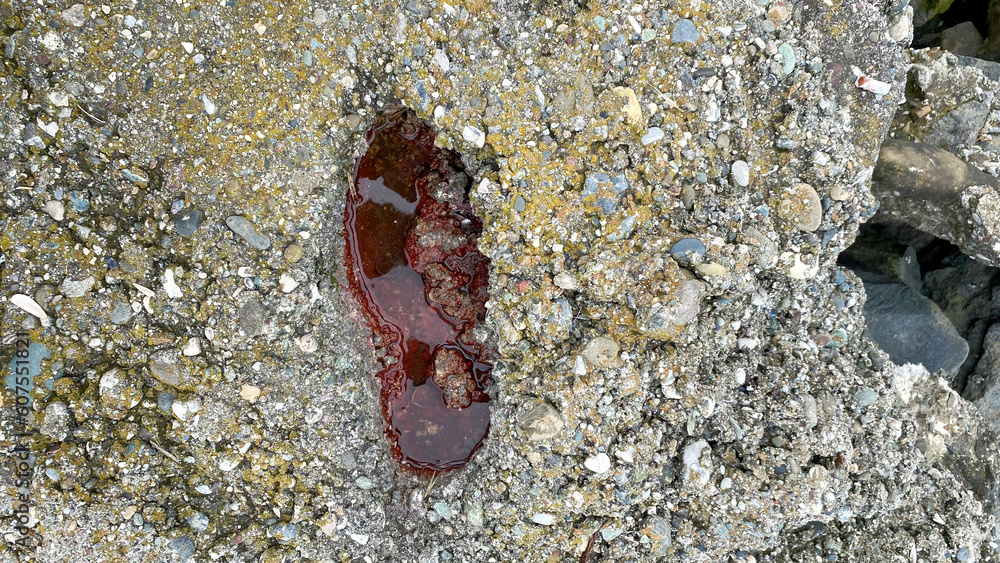 bloody footprints on stones Stock Photo | Adobe Stock