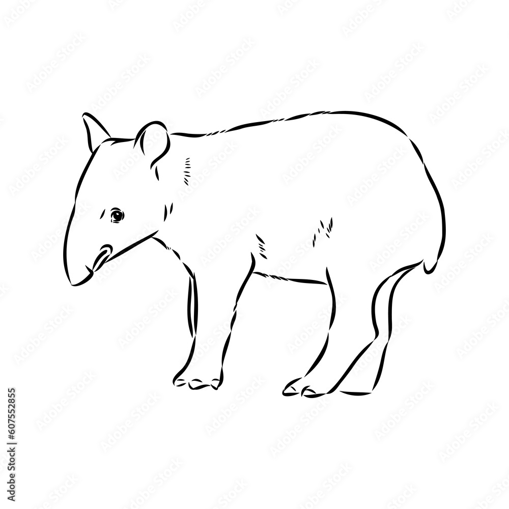 Obraz premium Tapir animal sketch engraving vector illustration. Scratch board style imitation. Hand drawn image.