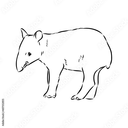 Tapir animal sketch engraving vector illustration. Scratch board style imitation. Hand drawn image.