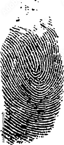 detailed finger print - vector illustration