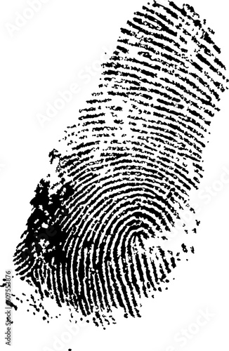 detailed finger print - vector illustration