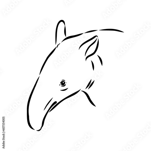 Tapir animal sketch engraving vector illustration. Scratch board style imitation. Hand drawn image.