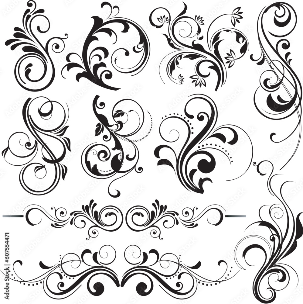 illustration drawing of floral design elements