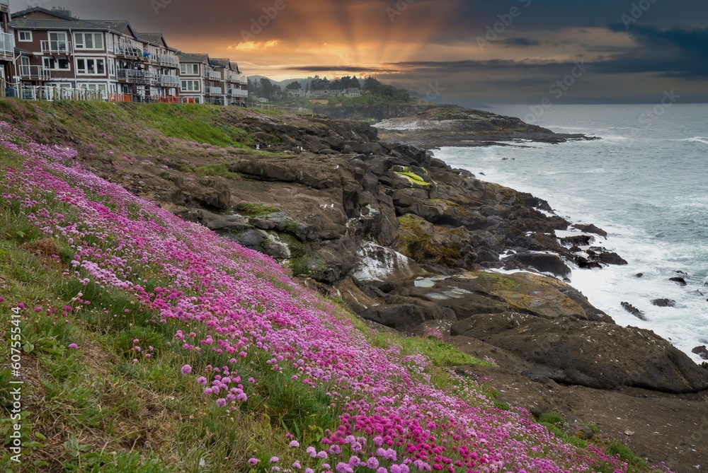Oregon coast scene near Depoe Bay with sea thrift in forground and a hotel and headland in background. Variously called armeria maritima, the thrift, sea thrift or sea pink,