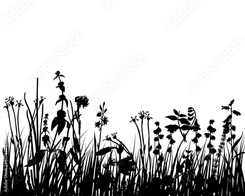 Vector illustration grass background for design use © Designpics