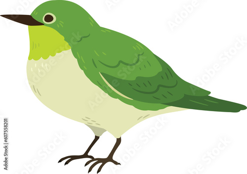 Simple and adorable flat colored Warbling white-eye illustration