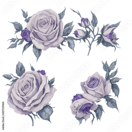 Set of Purple Rose Flower Arrangement Watercolor Illustration